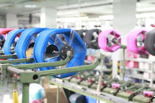 五折來咯 你的夏天一定需要ta